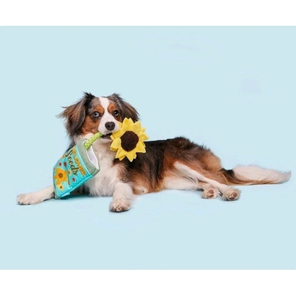 Bark Box Farmers Barket Market Funflower Seed Dog Squeak Chew Toy XS-M Sunflower